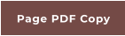 Page PDF Copy